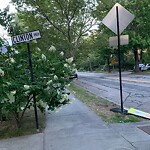 Damaged Sign at 271 Clinton Rd