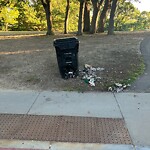 Rodent Issues at 183–213 Summit Ave