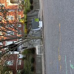 Trash/Recycling at 108 Winthrop Rd