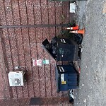Rodent Issues at 11 Andem Pl