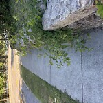 Sidewalk Obstruction at 128 Dudley St