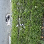 Water and Sewer at 302 Dean Rd, Chestnut Hill