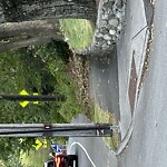 Sidewalk Repair at 163–165 Lagrange St, Newton 02467