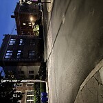 Sidewalk Repair at Harvard Ave