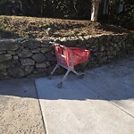 Trash/Recycling at 5 Downing Rd