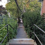 Sidewalk Obstruction at 174 Winchester St