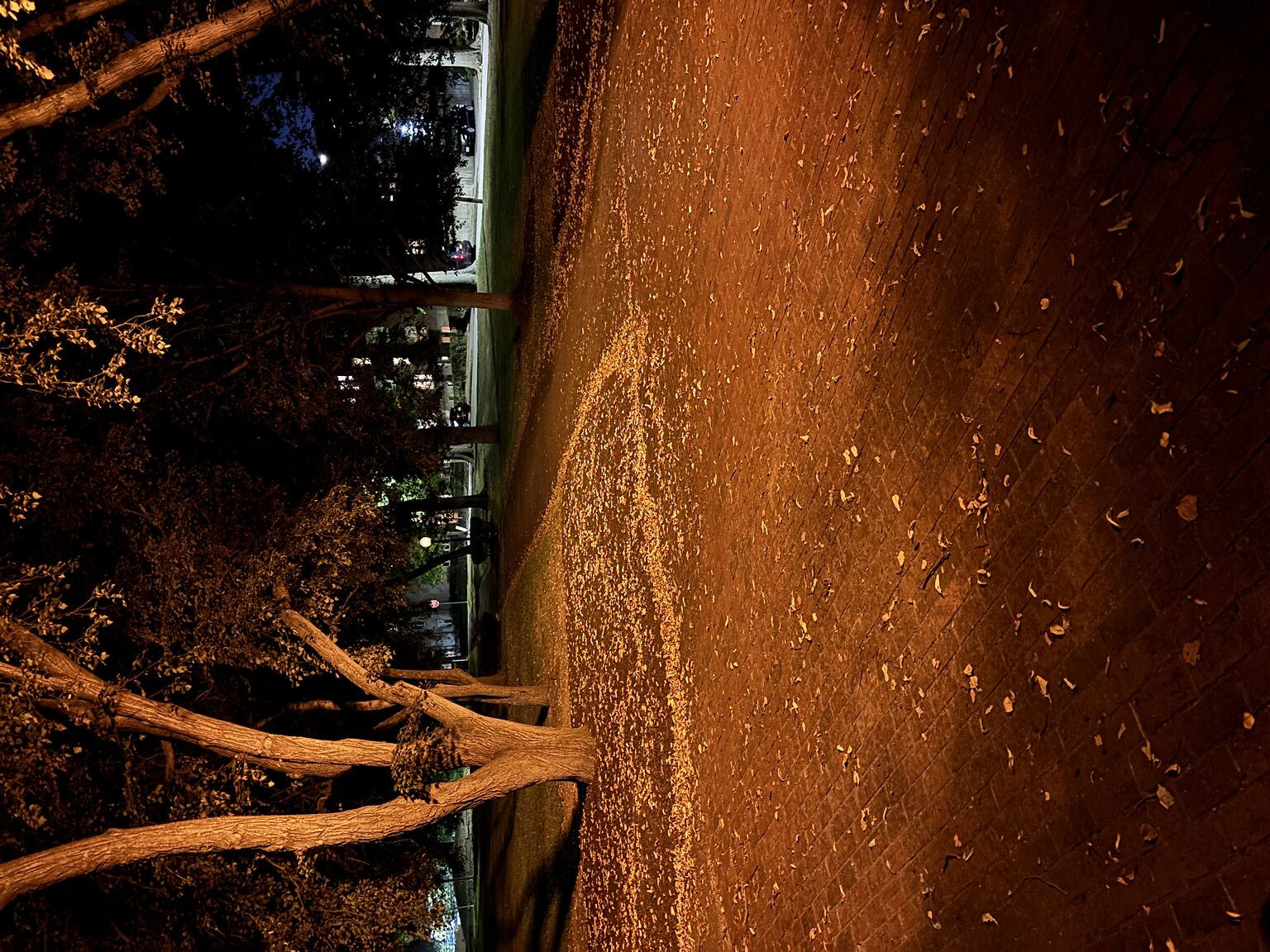 Kvynet_park_light_out