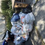 Trash/Recycling at 15 White Pl