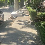 Sidewalk Obstruction at 61 Thatcher St