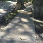 Sidewalk Obstruction at 35 Thatcher St