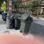 Sidewalk Obstruction at 41 Park St