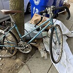 Trash/Recycling at 18 Homer St