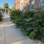 Sidewalk Obstruction at 551 Brookline Ave