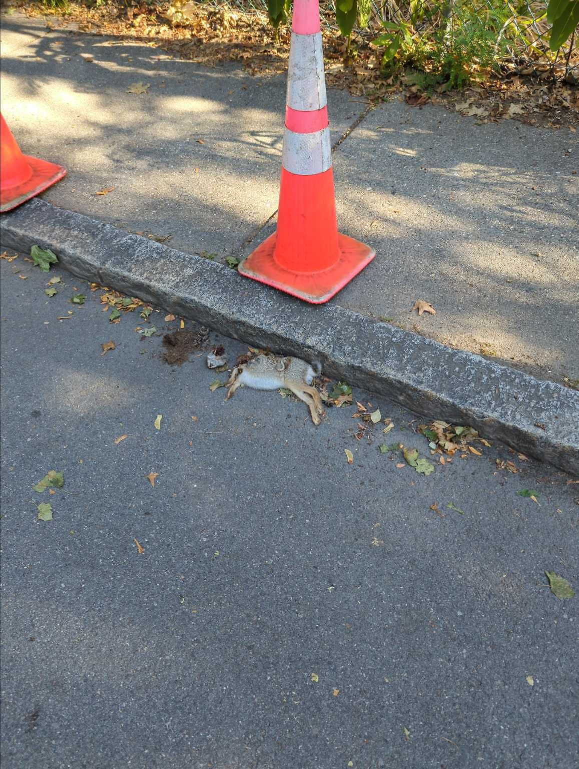 Photo_20250903_084547