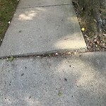 Sidewalk Repair at 25 Clark Rd Sidewalk Repair at 25 Clark Rd