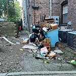Rodent Issues at Summit Path