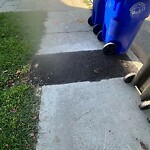 Sidewalk Repair at 200 Tappan St