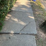 Sidewalk Repair at 43 Beaconsfield Rd Sidewalk Repair at 43 Beaconsfield Rd