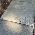 Sidewalk Repair at 36 Beaconsfield Rd