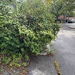 Sidewalk Obstruction at 46–98 Prince St