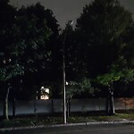 Streetlight at 900 W Roxbury Pkwy, Chestnut Hill 02467