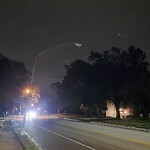 Streetlight at 881 W Roxbury Pkwy, Chestnut Hill 02467