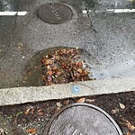 Water and Sewer at 32 Winchester St