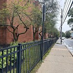 Water and Sewer at 117 Kent St