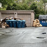 Trash/Recycling at 35 Vernon St