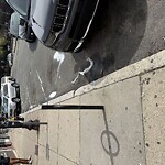 Trash/Recycling at 1918 Beacon St, Boston 02135