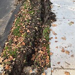 Sidewalk Repair at 17 Lowell Rd