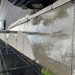 Water and Sewer at Murphy Playground, 24 Brook St, Brookline 02445