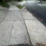 Sidewalk Repair at 43 Sumner Rd