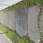 Sidewalk Repair at 147 Newton St