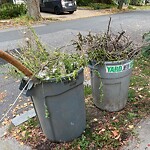 Trash/Recycling at 22 Littell Rd