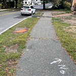 Sidewalk Repair at 16 Blake Rd