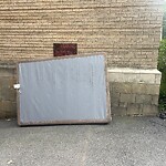 Trash/Recycling at 116 Park St