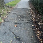 Sidewalk Repair at 50 Sumner Rd