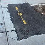 Sidewalk Repair at 111 Harvard St Sidewalk Repair at 111 Harvard St