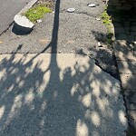 Sidewalk Repair at 7 Harvard Ave Sidewalk Repair at 7 Harvard Ave