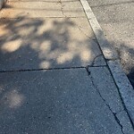 Sidewalk Repair at 28 Park St Sidewalk Repair at 28 Park St
