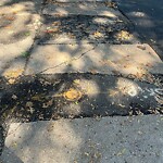 Sidewalk Repair at 27 Harvard Ave Sidewalk Repair at 27 Harvard Ave
