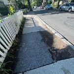 Sidewalk Repair at 48 Harvard Ave Sidewalk Repair at 48 Harvard Ave