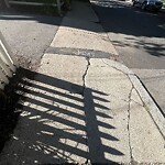 Sidewalk Repair at 48 Harvard Ave Sidewalk Repair at 48 Harvard Ave