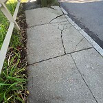 Sidewalk Repair at 68 Harvard Ave Sidewalk Repair at 68 Harvard Ave
