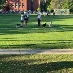 Safe Routes To School at 599 Brookline Ave
