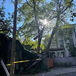 Other at 64 White Pl