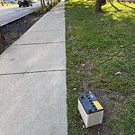 Trash/Recycling at Pearl St