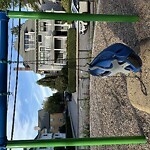 Park Playground at Cypress St Playground, Tappan St & Cypress St, Brookline 02445