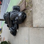 Trash/Recycling at 34 Babcock St